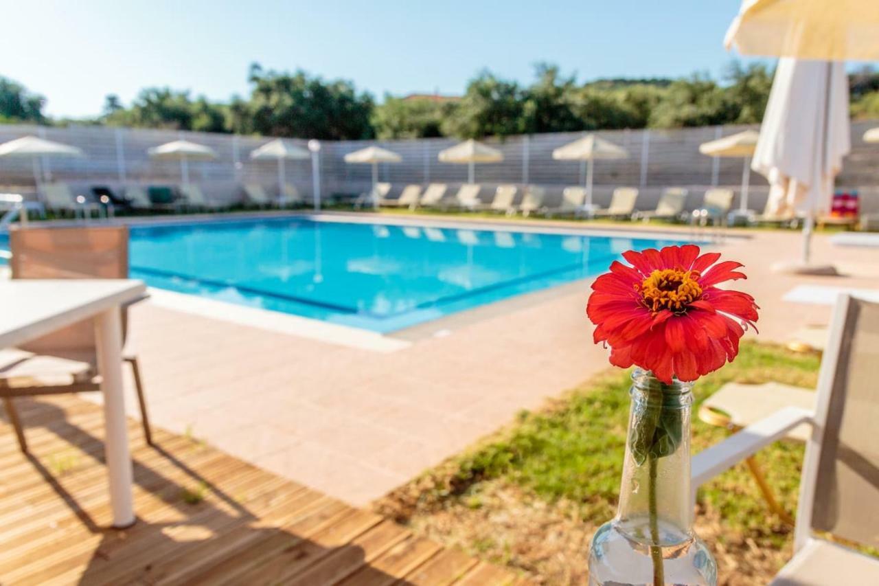 Charming And Comfy House Daire Agia Marina Dış mekan fotoğraf